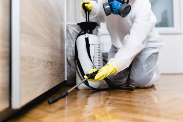 Professional Pest Control in Meadows Place, TX