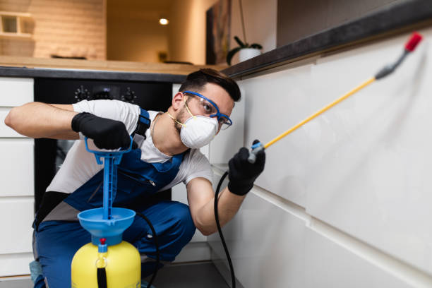  Meadows Place, TX Pest Control Pros