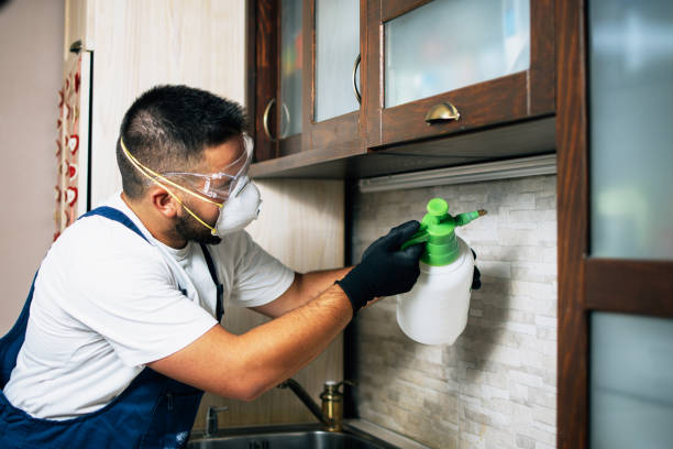 Best Best Pest Control Near Me  in Meadows Place, TX