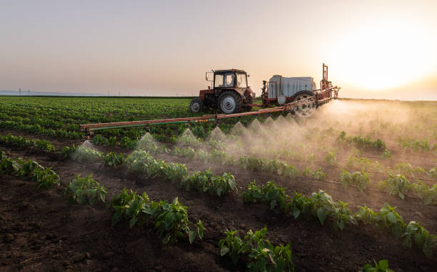 Best Commercial Pest Control Services  in Meadows Place, TX