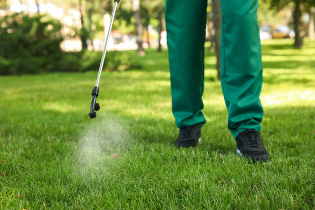 Best Pest Control Treatment  in Meadows Place, TX