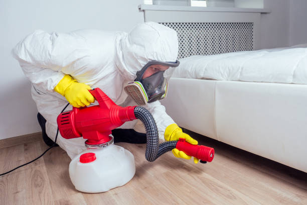 Best Rodent Control Near Me  in Meadows Place, TX