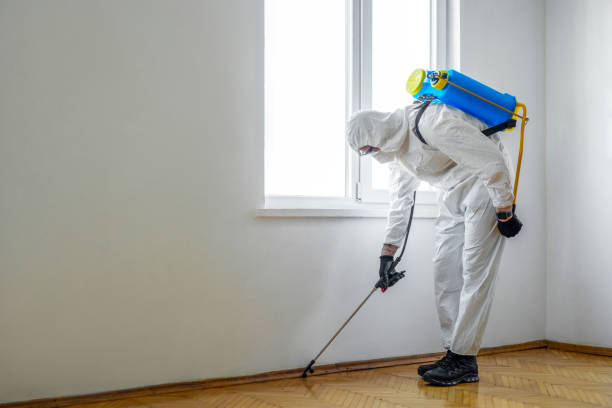 Pest Prevention Services in Meadows Place, TX