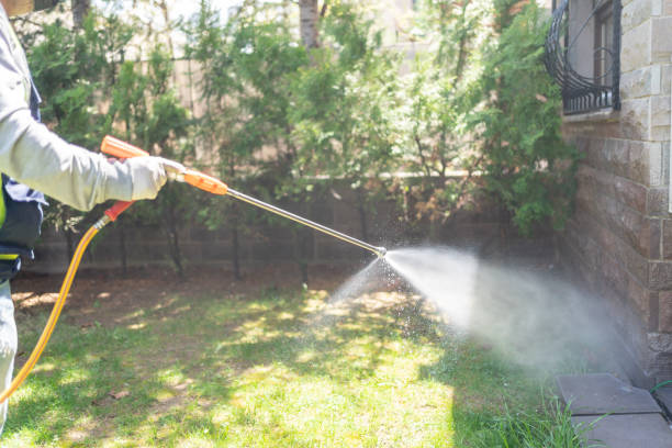Best Pest Control for Businesses  in Meadows Place, TX