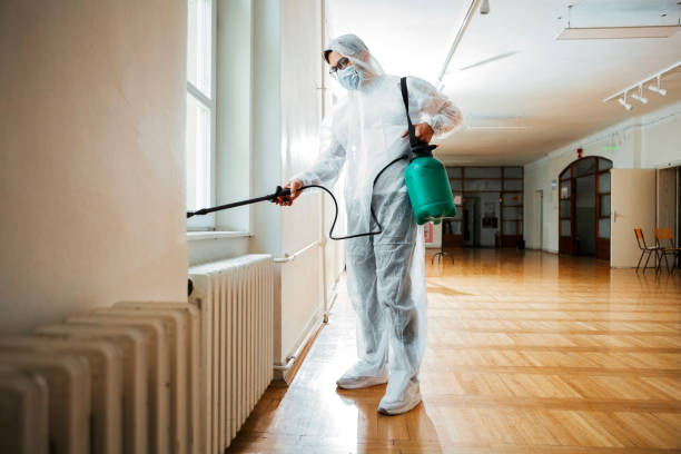 Best Best Pest Control Companies  in Meadows Place, TX