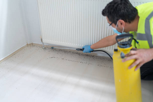 Best Pest Control Near Me  in Meadows Place, TX