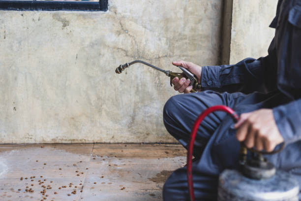 Pest Control Cost in Meadows Place, TX