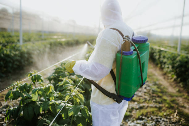 Best Wildlife Control Services  in Meadows Place, TX